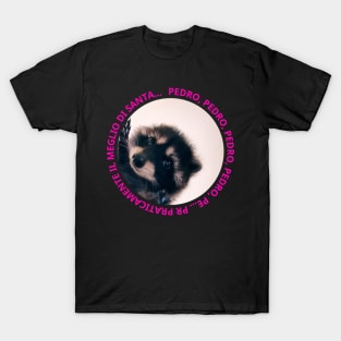 PEDRO, PEDRO, PEDRO, PEDRO, PE... PR PRATICAMENTE T-Shirt